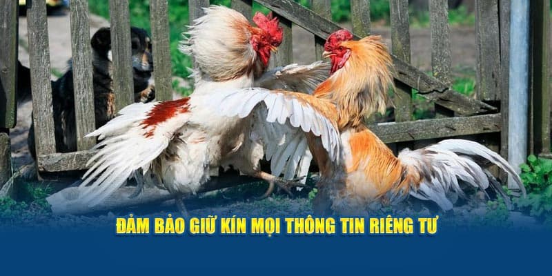 Đảm bảo mọi thông tin của người dùng luôn bảo vệ an toàn tuyệt đối nhất có thể